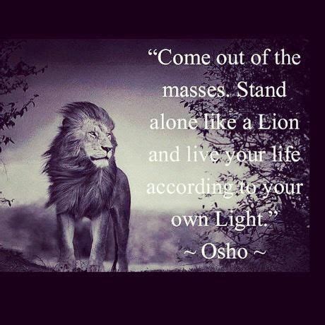46 lion protecting his lioness quotes. Stand alone like a lion... | Leo | Pinterest | Lion and A lion