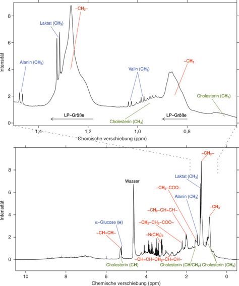 NMR Spektrum Messung Bei 600 MHz Von Humanem Serum Mit Schematischer