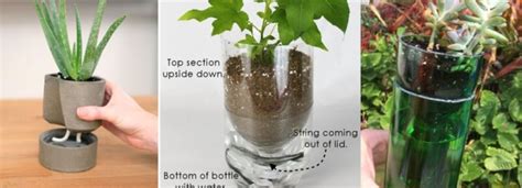 Self Watering Planters 20 Diy Ideas To Keep Your Greenery Healthy