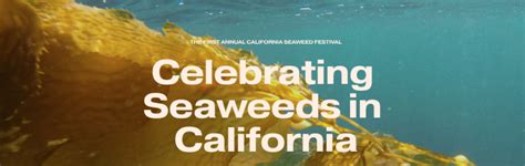 California Seaweed Festival California Sea Grant
