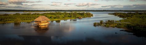 Ceiba Tops Iquitos Amazon Jungle Lodge South America Tourism Office