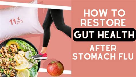 how to restore gut health after stomach flu knowledge by nutrinz