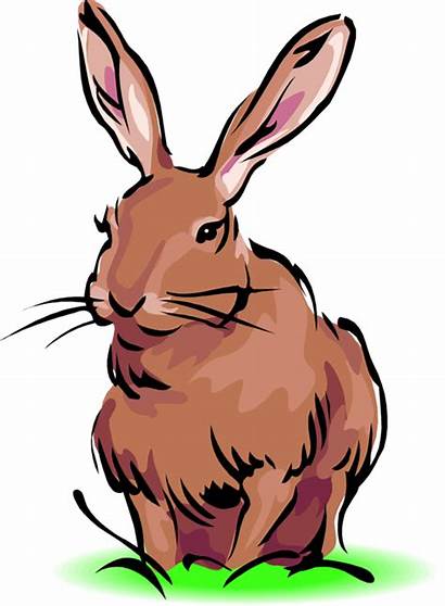 Rabbit Clipart Bunny Clip Easter Animals Bunnies