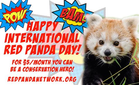 Be A Conservation Hero By Supporting Red Panda Network On International