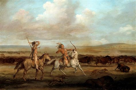Buffalo Hunt Painting By George Catlin Fine Art America