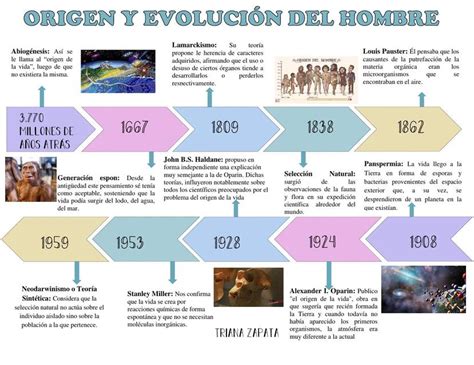 Origen Y Evoluci N Del Hombre Udocz