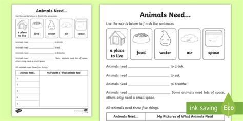 Animals Worksheet For Kids Primary School Resources