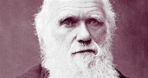 Charles robert darwin was a british naturalist and biologist known for his theory of evolution and his understanding of the process of natural selection. 30 Interesting And Awesome Facts About Charles Darwin - Tons Of Facts