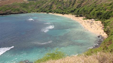 Hanauma Bay Nature Preserve Honolulu Attraction Au
