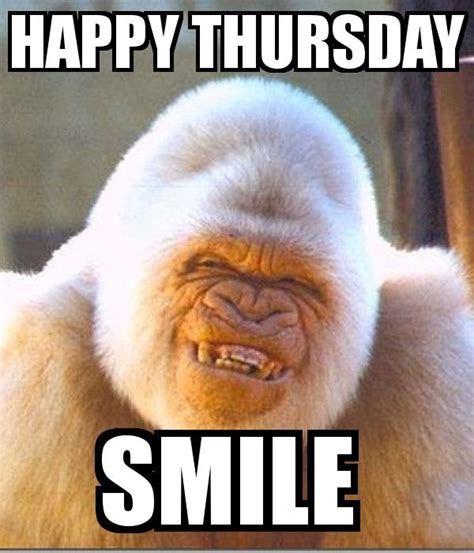 Happy Thursday Morning Quotes Funny Thursday Humor Thursday Meme