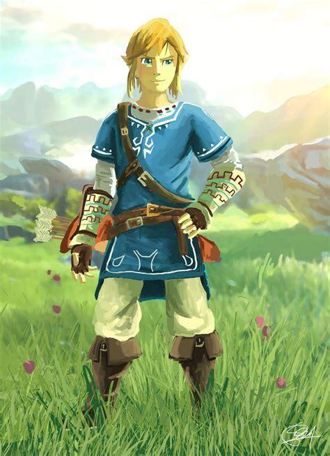 The Legend Of Zelda U Link By Rockxass Legend Of Zelda Breath Of