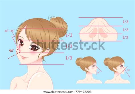 Woman Perfect Face Proportions On Blue Stock Vector Royalty Free 779492203 Shutterstock