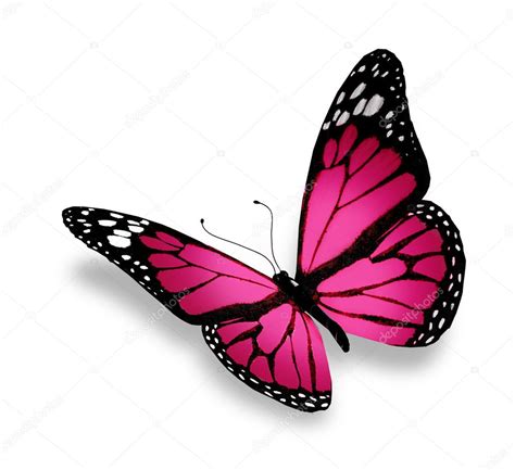 Pink Butterfly Isolated On White Background — Stock Photo