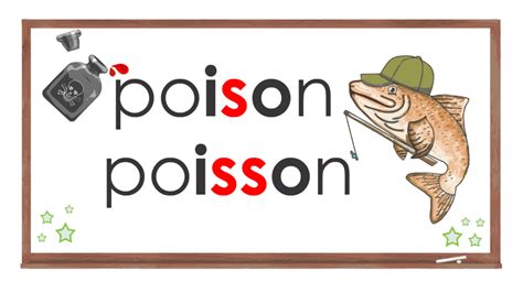 04 Règle 4 Les Graphies S Et Ss Comme Dans Poison Et Poisson 3e