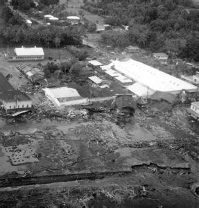 The 2011 japan tsunami is believed to be world's most expensive disaster in history. Survivors reflect on devastating tsunami that struck Hilo ...