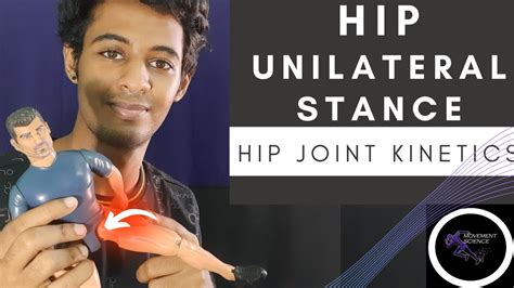 Hip Joint Unilateral Stance Hip Complex Biomechanicsphysiotherapy