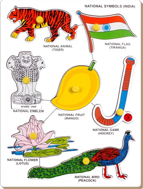 National Symbols Of India Worksheet For Kids