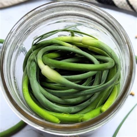 Quick Pickled Garlic Scapes Recipe The Herbeevore