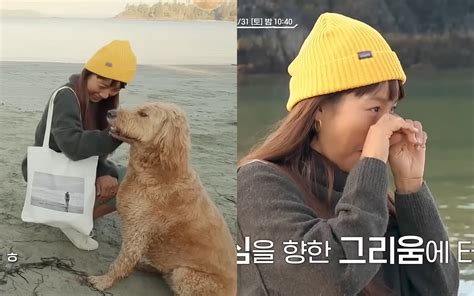 Lee Hyori sheds tears after meeting a dog that resembles Soon Shim, her