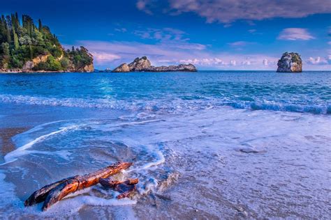 Download Nature Sea Driftwood Coast Scenic Ocean Hd Wallpaper By