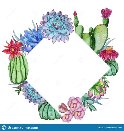Wordpress themes and wordpress templates. Watercolor Cactus Plants Template Isolated On White ...