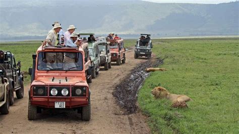4 Days Serengeti And Ngorongoro Crater Safari Tanzania Wildlife Safaris