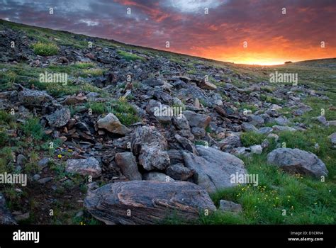 Alpine Tundra High Resolution Stock Photography And Images Alamy