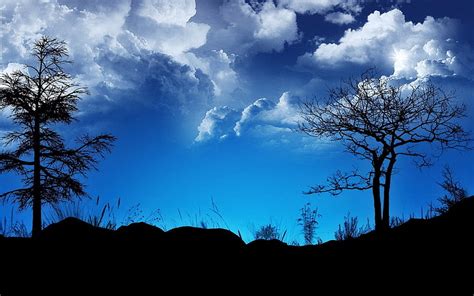 Black Trees Clouds Sky Night Outlines Blue Black Trees Hd