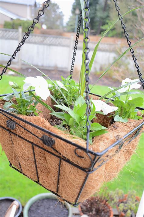 The Pampered Baby Spring Diy Easy Hanging Baskets