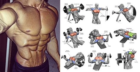 How To Get A Bigger Chest 7 Easy Chest Exercises To Get Your Pecs Noticed Bodydulding