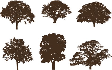Oak Tree Silhouettes 212440 Vector Art At Vecteezy