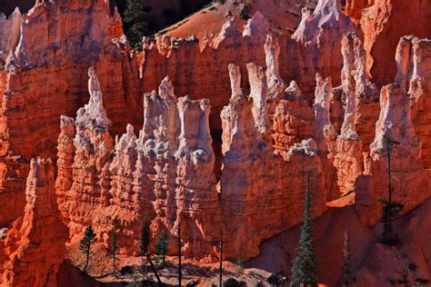 Bryce Canyon Höhepunkt Einer Reise Durch Den Usa Südwesten