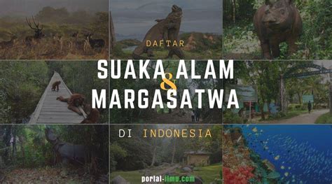Daftar Suaka Alam Dan Margasatwa Di Indonesia Portal