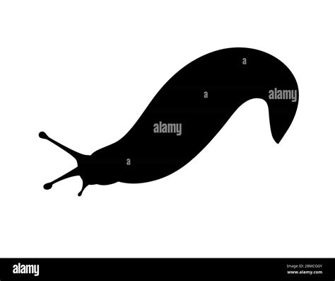 Black Silhouette Slug Cartoon Animal Design Flat Vector Illustration