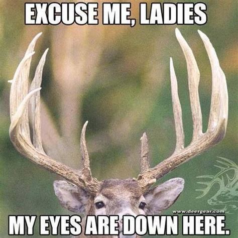 Deer Season Funny Hunting Pics Deer Hunting Humor Hunting Jokes