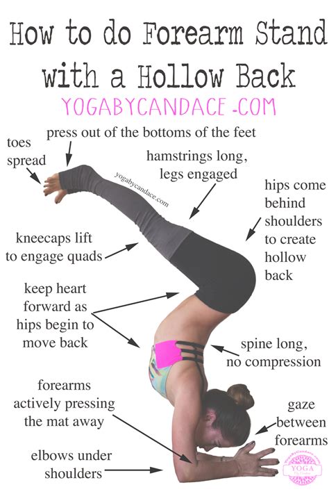 How is yoga different from regular stretching? How to do Forearm Stand Hollow Back — Yoga By Candace