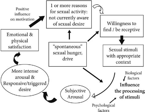 Figure From Identifying The Disruptions In The Sexual Response Cycles