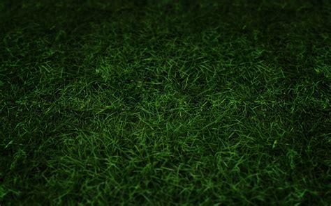 Desktop Grass Hd Wallpapers