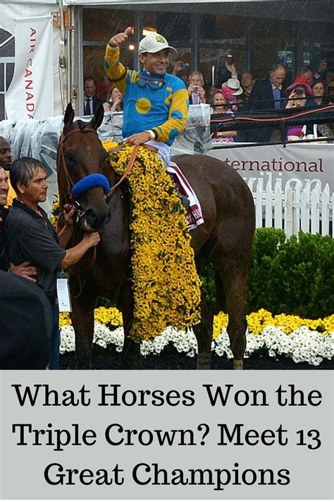What Horses Won The Triple Crown Meet 13 Great Champions Horses