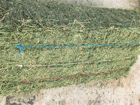 2000 Bales 3 String Square Alfalfa For Sale In Stephenville Texas