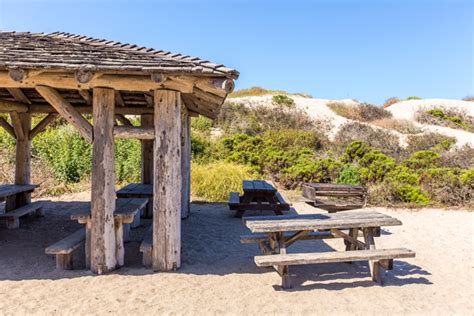 Showing results in neighboring cities. 6 Outrageously Scenic Picnic Spots - Visit Santa Cruz County