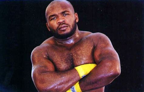 Sherman Williams The Usa Boxing News