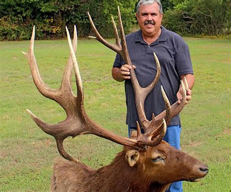 Two New Elk Top Oklahomas Cy Curtis Record Book Game And Fish