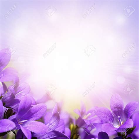 Pastel Purple Floral Background Wallpaperin