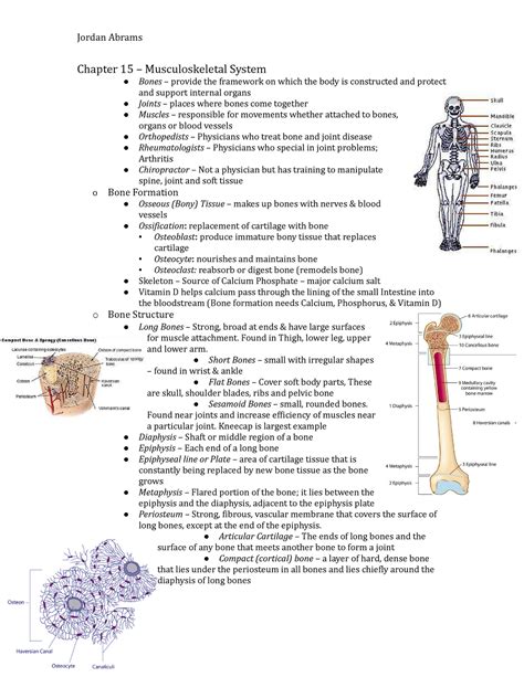 Medt200 Chapter 15 Musculoskeletal System Chapter 15