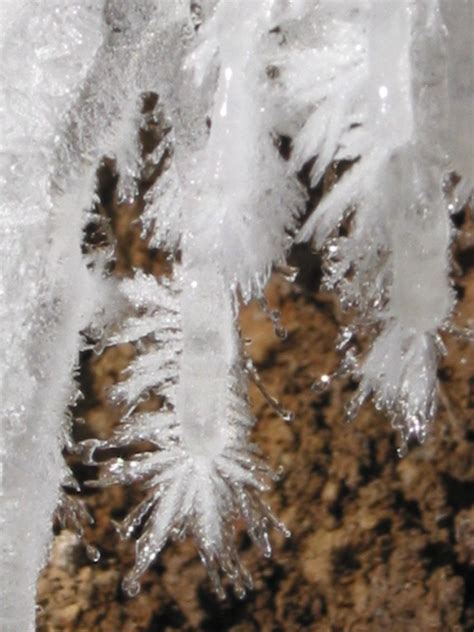 Snow Crystals Free Photo Download Freeimages