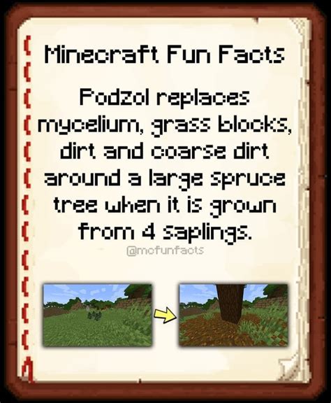 Minecraft Fun Facts On Tumblr