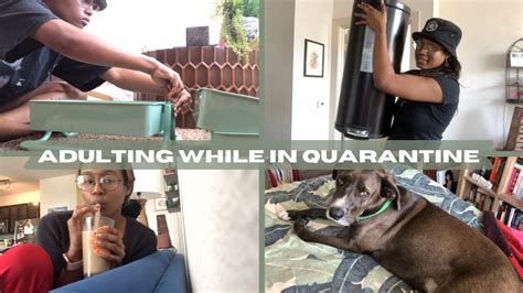 Attempting To Be A Functioning Adult During Quarantine Vlog Youtube