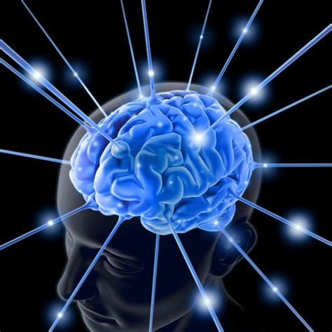 Werking Hersenen Beter Te Verklaren Met Nieuw Model Engineers Online