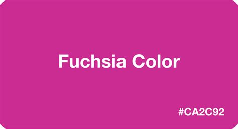 Fuchsia Color Best Practices Color Codes Palettes And More